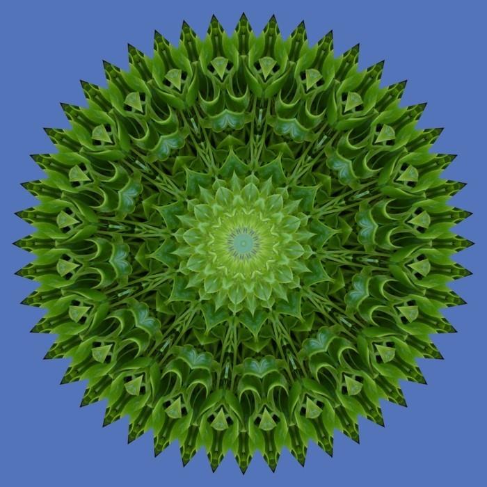 mandala pour noël coloriages noël vert bleu