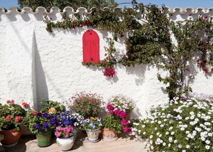 Décorations florales de jardin méditerranéen et couleurs fraîches