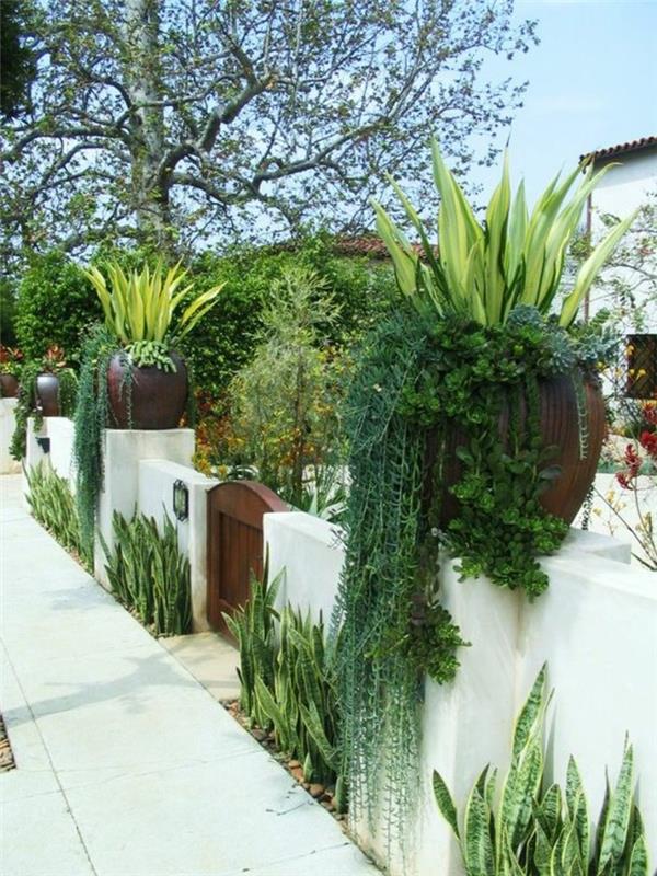 conception de jardin méditerranéen idées de jardin élégantes pour la cour avant