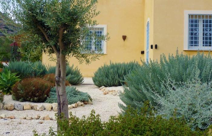 les plantes et les pierres du jardin méditerranéen se combinent