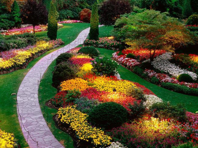 الإنجليزية mixborder هي واحدة من أفضل الأساليب. في حديقة الزهور هذه ، يتم الجمع بين أشكال الحدائق ذات الزهور الكبيرة والأنواع والأصناف الصغيرة المزهرة