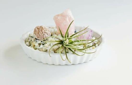 décoration de table mini tillandsien avec pierres précieuses