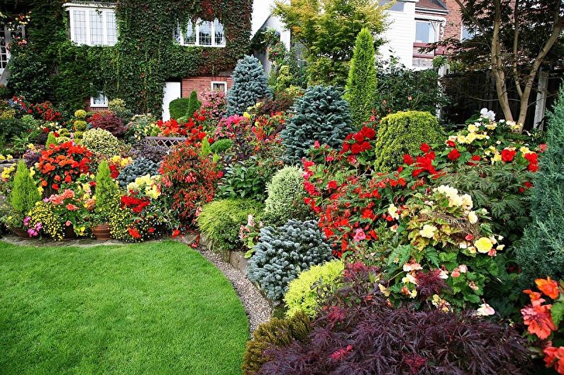 So arrangieren Sie ein Blumenbeet mit mehrjährigen Blumen für eine Sommerresidenz und einen Garten