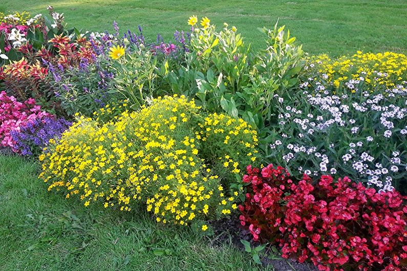 So arrangieren Sie ein Blumenbeet mit mehrjährigen Blumen für eine Sommerresidenz und einen Garten