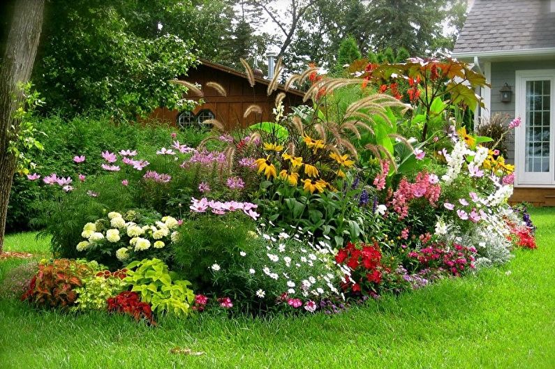 Mehrjährige Blumen für eine Sommerresidenz und einen Garten - Foto
