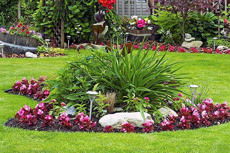 Mehrjährige Blumen für eine Sommerresidenz und einen Garten - Foto