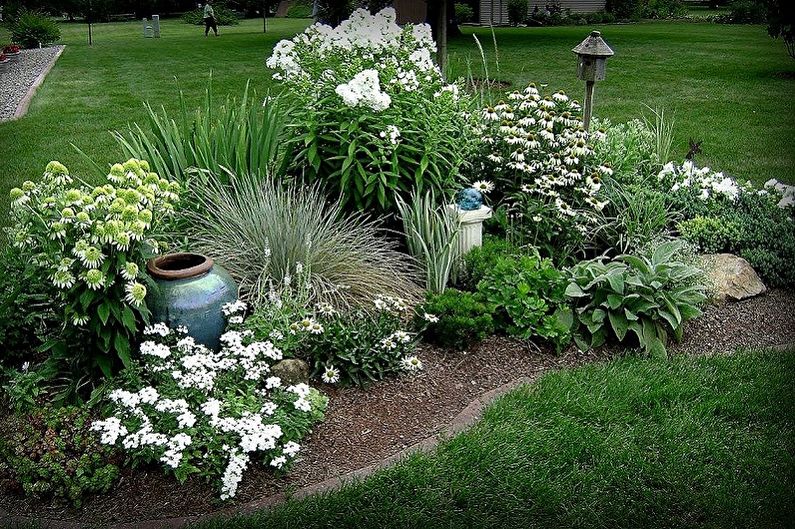 Mehrjährige Blumen für eine Sommerresidenz und einen Garten - Foto