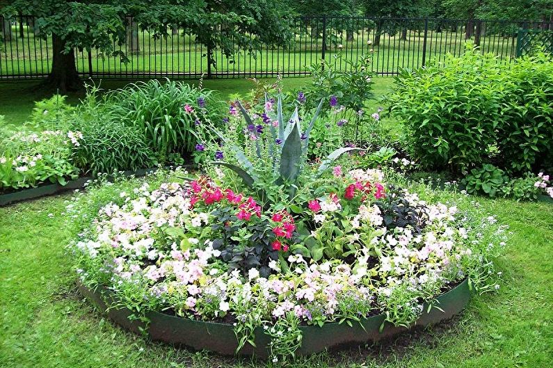 Mehrjährige Blumen für eine Sommerresidenz und einen Garten - Foto