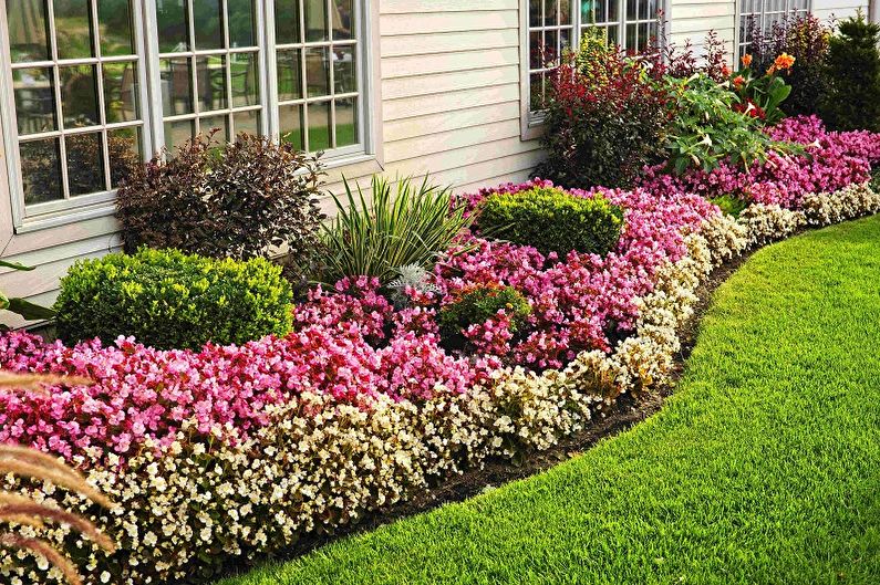 Mehrjährige Blumen für eine Sommerresidenz und einen Garten - Foto