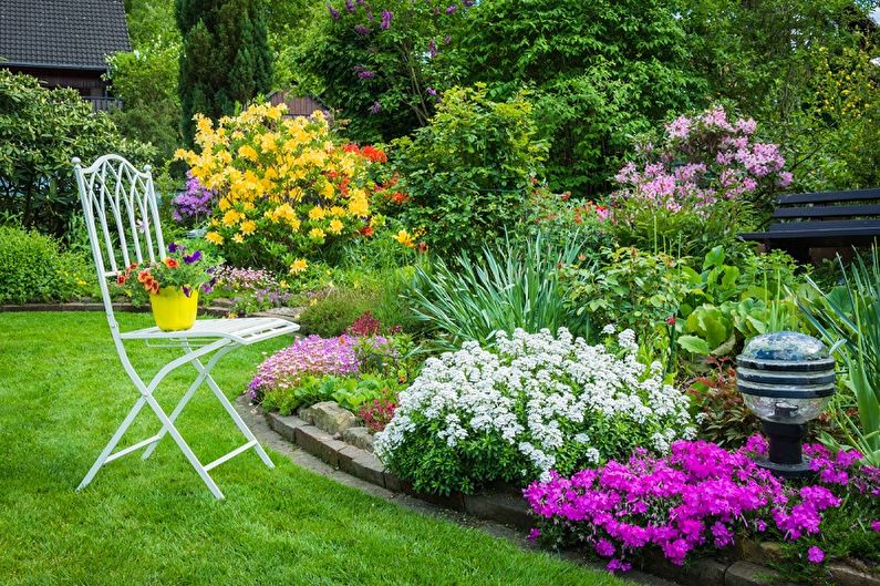 Mehrjährige Blumen für eine Sommerresidenz und einen Garten - Foto