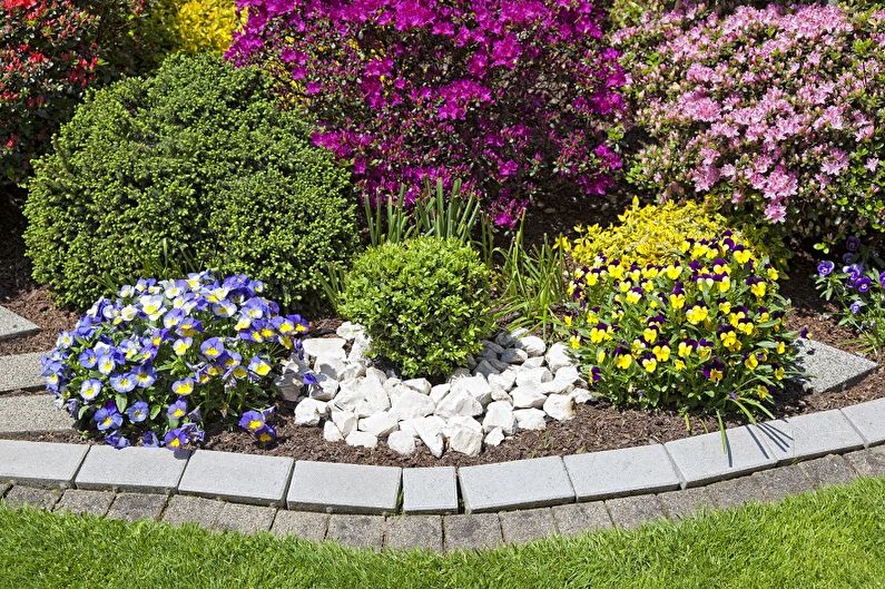 Mehrjährige Blumen für eine Sommerresidenz und einen Garten - Foto