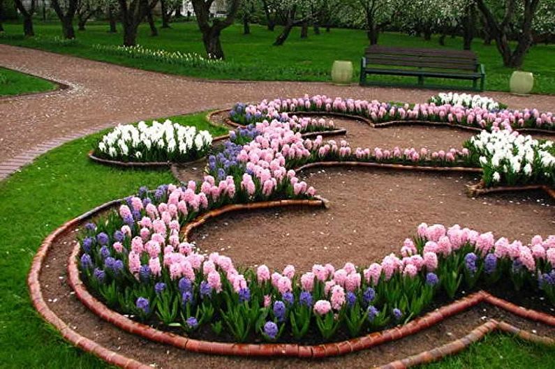 Mehrjährige Blumen für eine Sommerresidenz und einen Garten - Foto