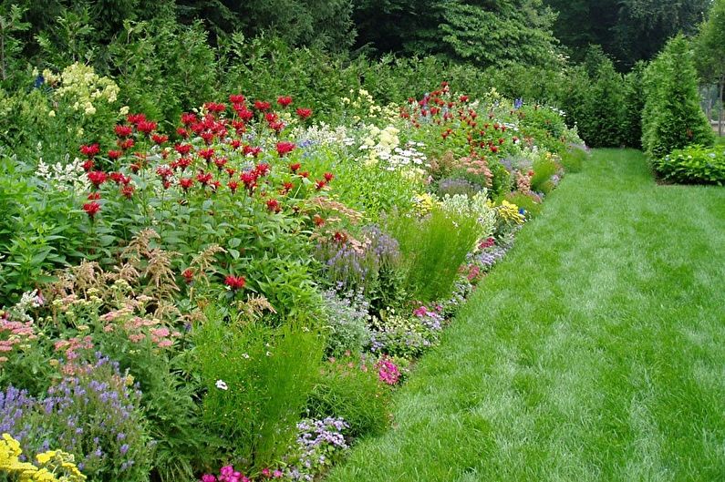 Mehrjährige Blumen für eine Sommerresidenz und einen Garten - Foto