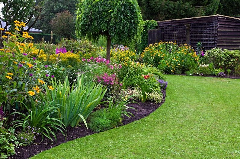 Mehrjährige Blumen für eine Sommerresidenz und einen Garten - Foto