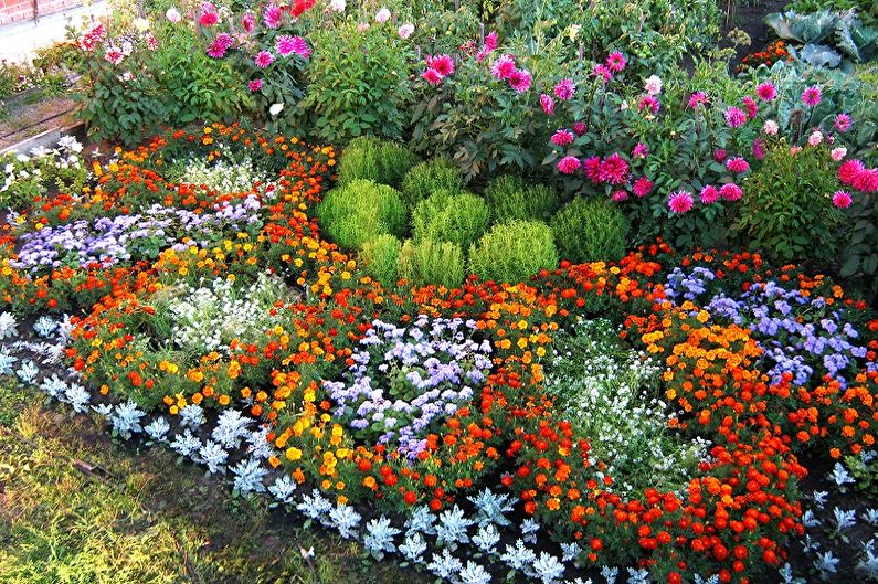 Mehrjährige Blumen für eine Sommerresidenz und einen Garten - Foto