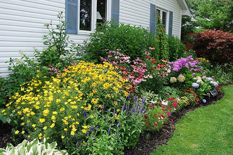 Mehrjährige Blumen für eine Sommerresidenz und einen Garten - Foto