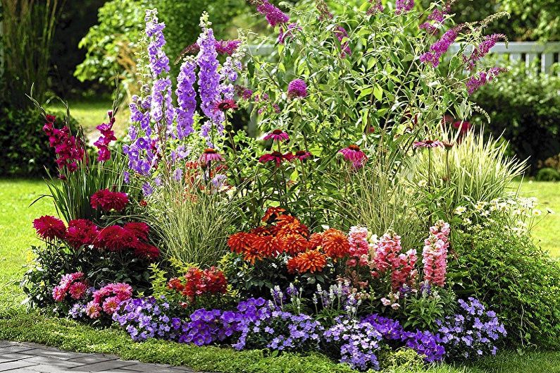 Mehrjährige Blumen für eine Sommerresidenz und einen Garten - Foto