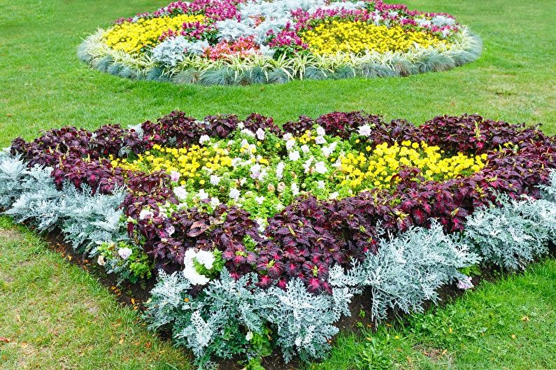 Mehrjährige Blumen für eine Sommerresidenz und einen Garten - Foto