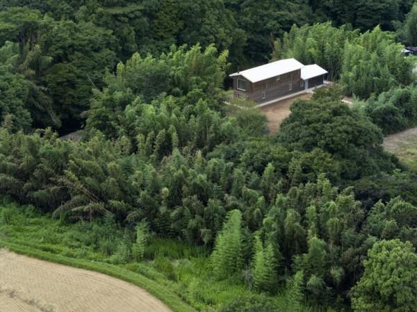 nowoczesna architektura pośród natury z lotu ptaka