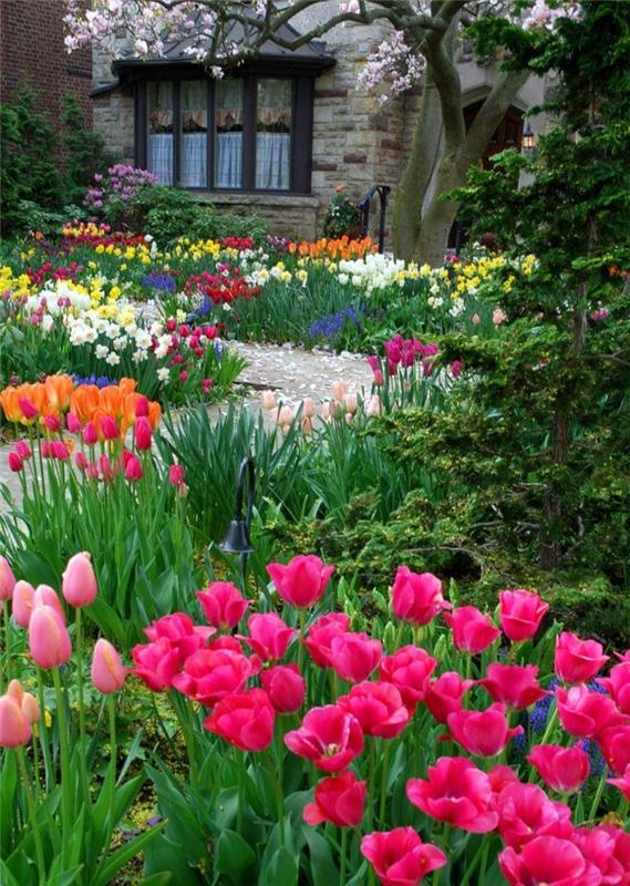 nowoczesny ogródek ogrodowy z tulipanami