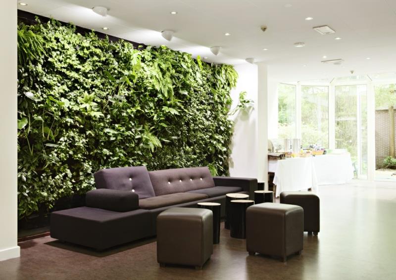 idées durables pour la conception de mur créatif salon jardin vertical