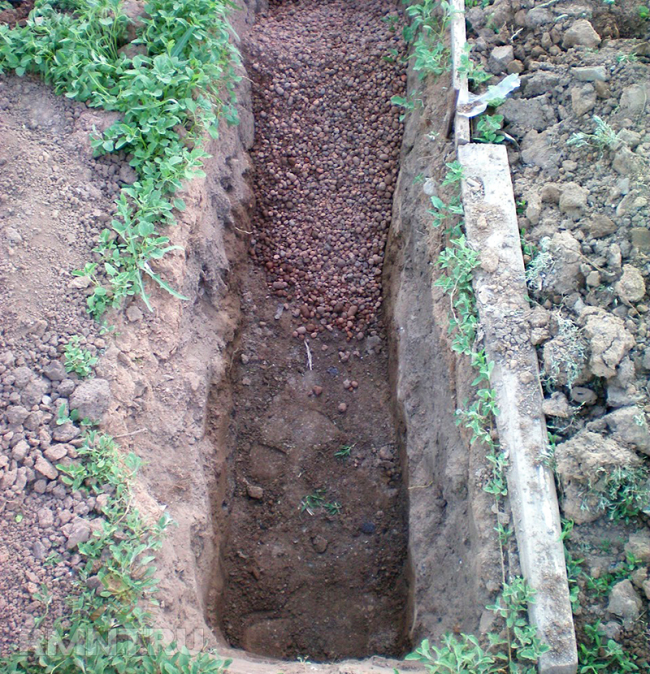 Pflanzgraben für Trauben