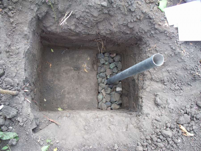 Installation eines Rohrs zum Bewässern und Füttern eines Traubenstrauchs