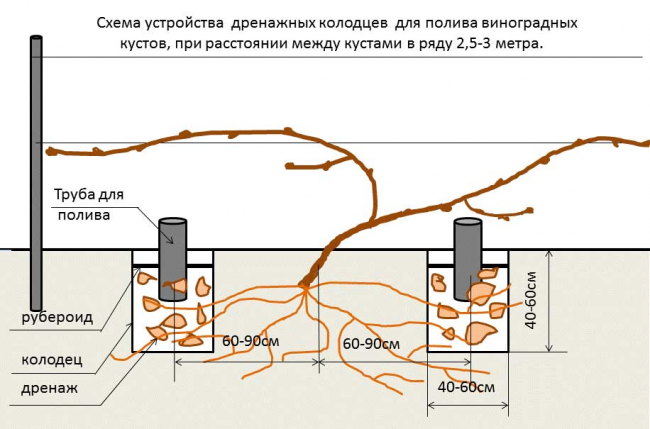 Schema der Vorrichtung von Entwässerungsbrunnen zum Bewässern von Weinsträuchern