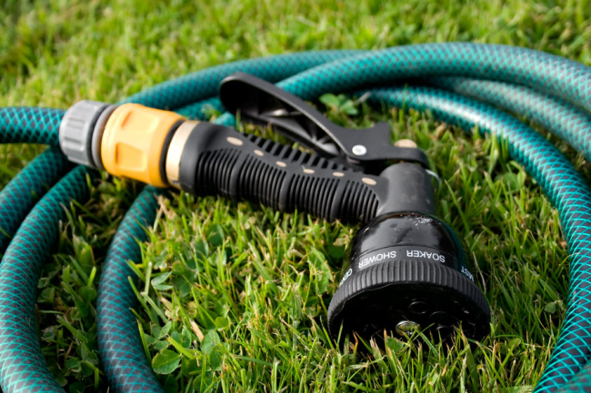Von Zeit zu Zeit ist es notwendig, die Trauben mit der Sprinklermethode zu gießen.