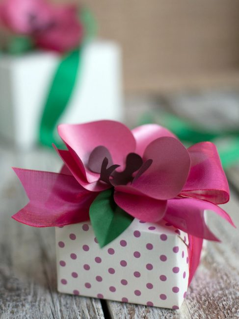 Nádherná orchidej poslouží jako nádherná dekorace