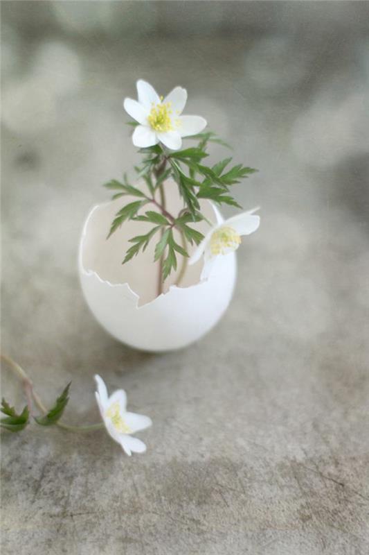 Dekoracje wielkanocne majsterkować dekoracje kwiatowe skorupki jajka