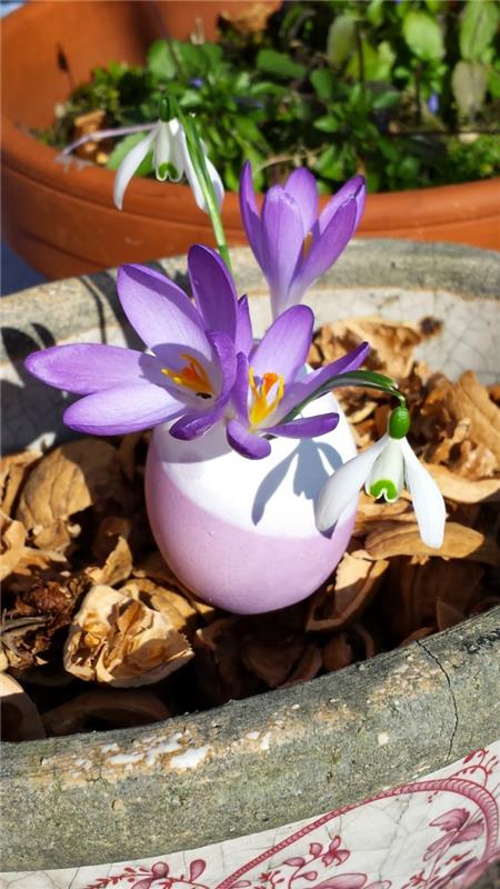 Dekoracje wielkanocne majsterkować skorupki jajek wazony dekoracje kwiatowe wiosenny nastrój