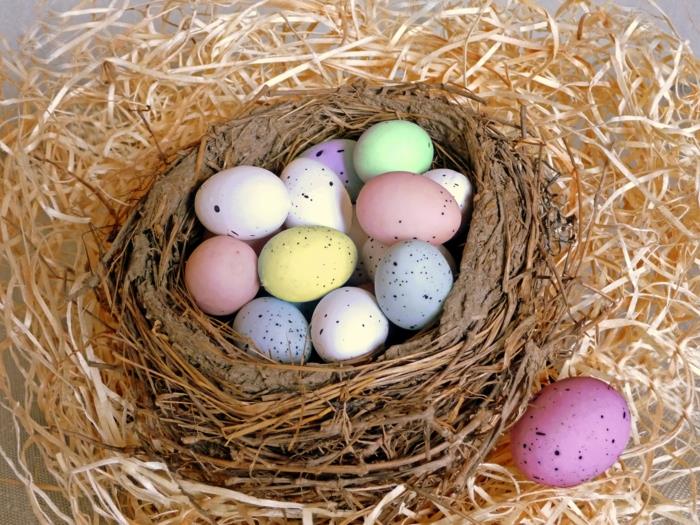 Pisanki malowanie pastelowych kolorów jajka przepiórcze gniazdo dekoracji wielkanocnych