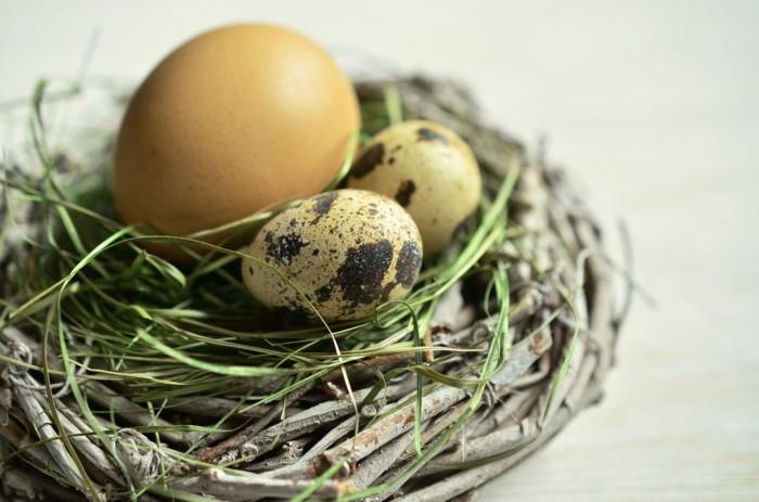 concevez votre propre nid de saule aux œufs de pâques