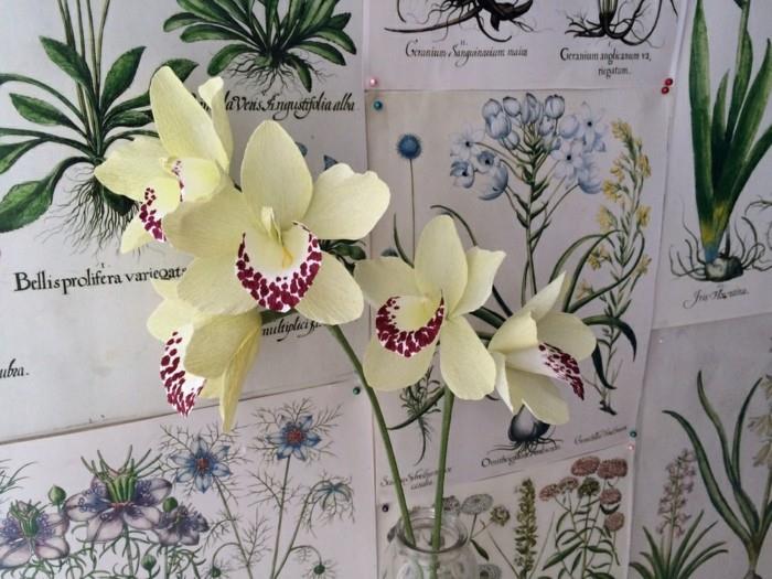 fleurs en papier bricoler orchiedeen art du papier