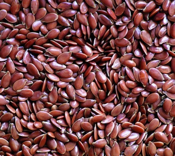 graines-de-plantes-noix-saines-vivantes-saines-graines de lin2
