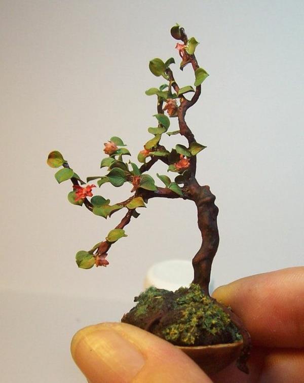 rośliny mini drzewko bonsai azalia