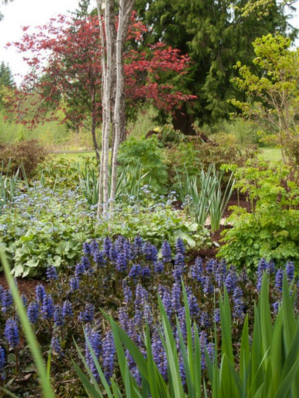idées d'espèces végétales plantes de jardin bleu günsel facile à entretenir
