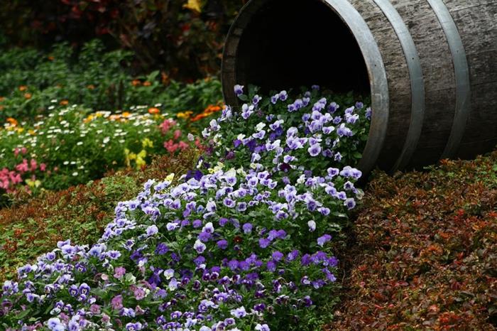 Jardinière tonneau de vin ancien pansy bleu