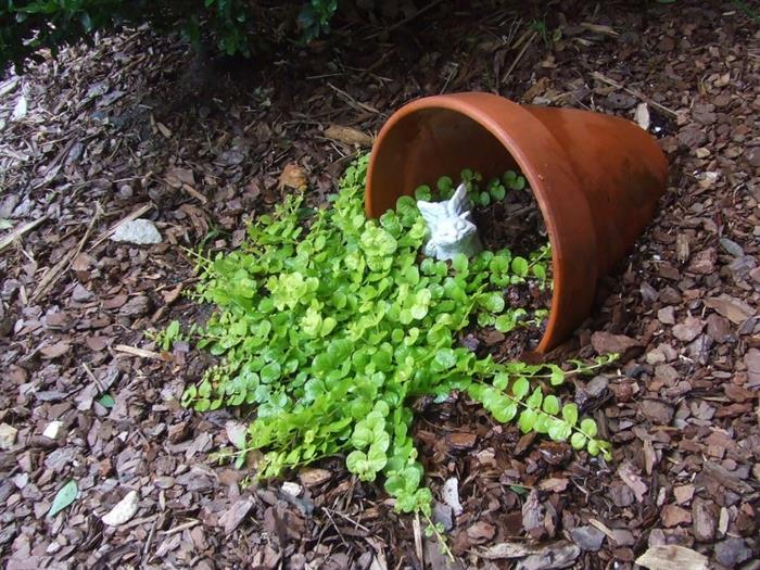 planteur petit pot de fleur paillis en céramique