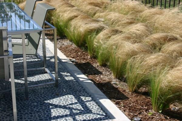 plantes de jardin faciles d'entretien conception de jardin résistante à la chaleur et idées d'aménagement paysager d'été