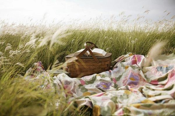 koc piknikowy świeży wzór trawa natura