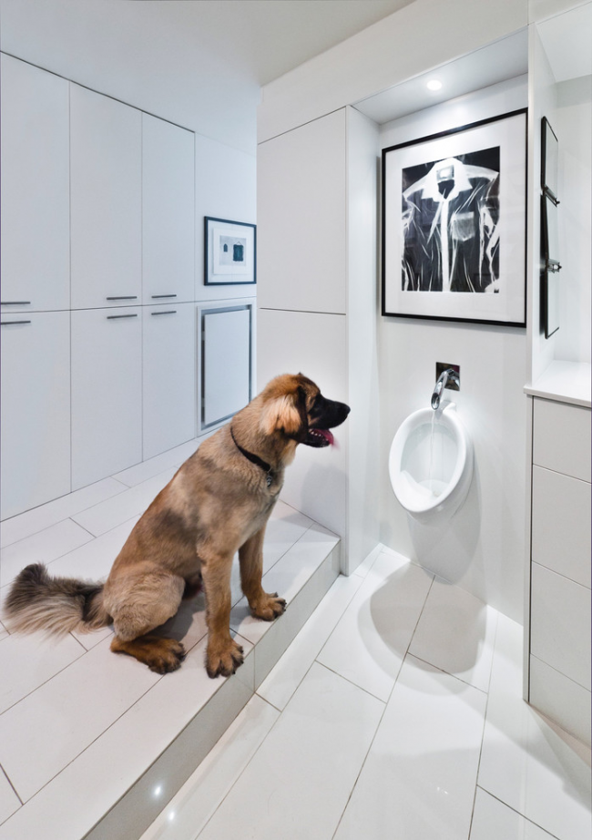 Das Wasserversorgungssystem in Urinalen ist in der Regel nach dem Geschmack von Haustieren