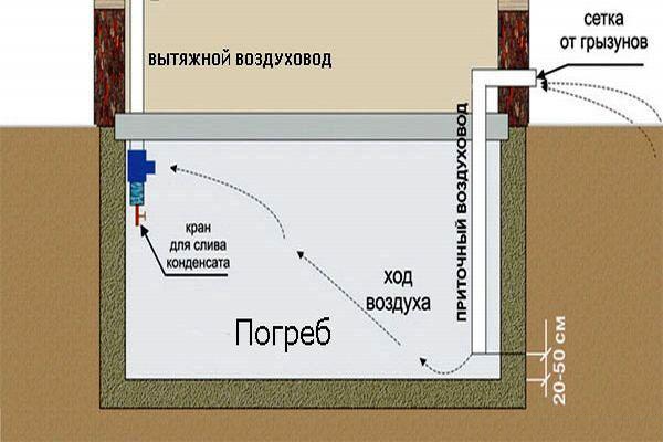 Ориз. 13. Вентилационно устройство в мазето под къщата