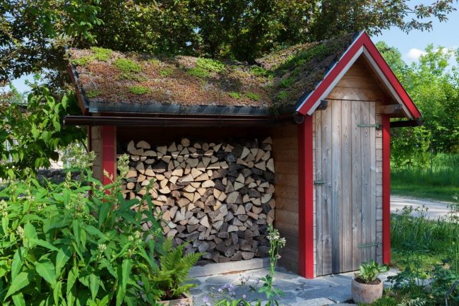 Wenn es die Fläche des Hofes zulässt, können Sie ein kleines Gebäude zur Lagerung von Brennholz mit einem kleinen Technikraum bauen