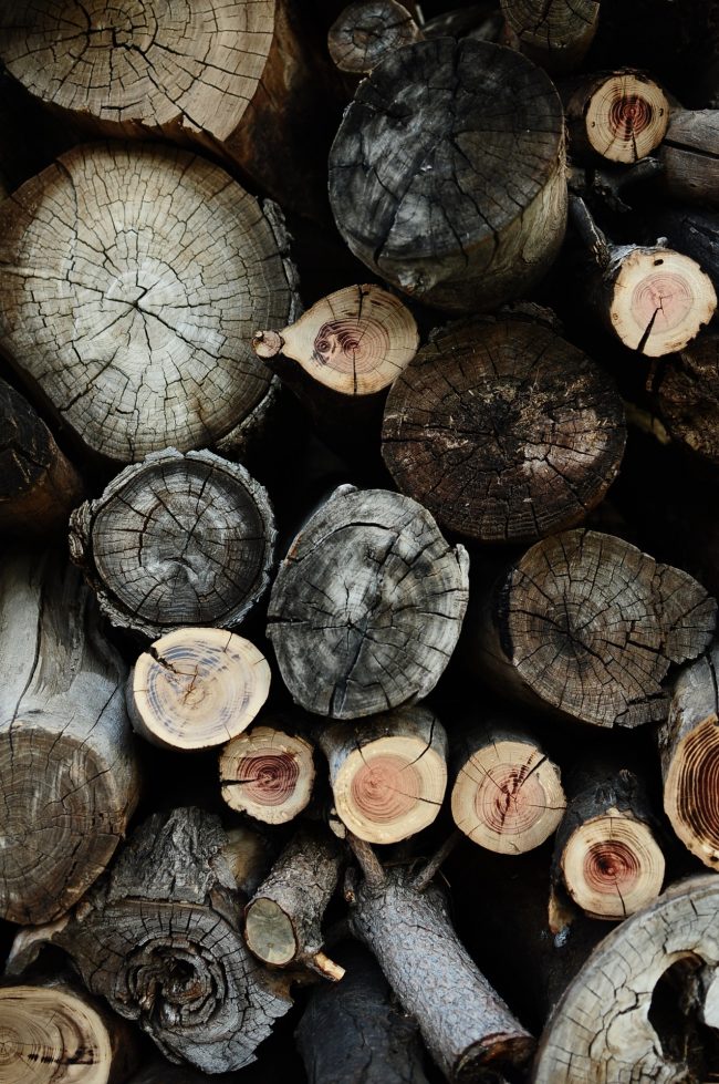 Die Schönheit von natürlichem Holz wird immer ein Blickfang und faszinierend sein