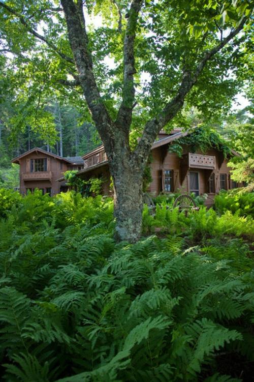 Plantes luxuriantes dans le jardin bien entretenu abri de jardin rustique dans les arbres