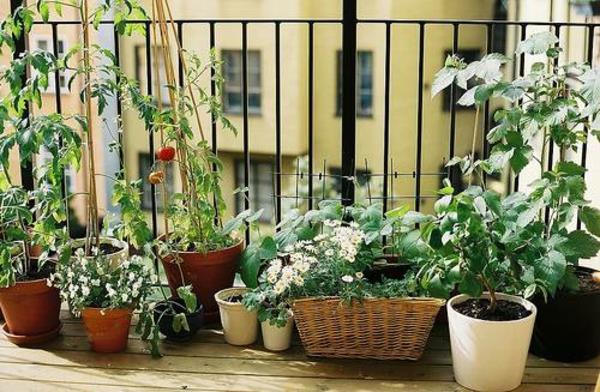 idées de balcon pratiques et cool pour le sol en pot de fleurs