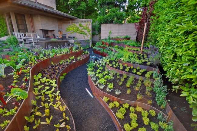Интересен дизайн на зеленчукова градина на лятна вила от 6 декара