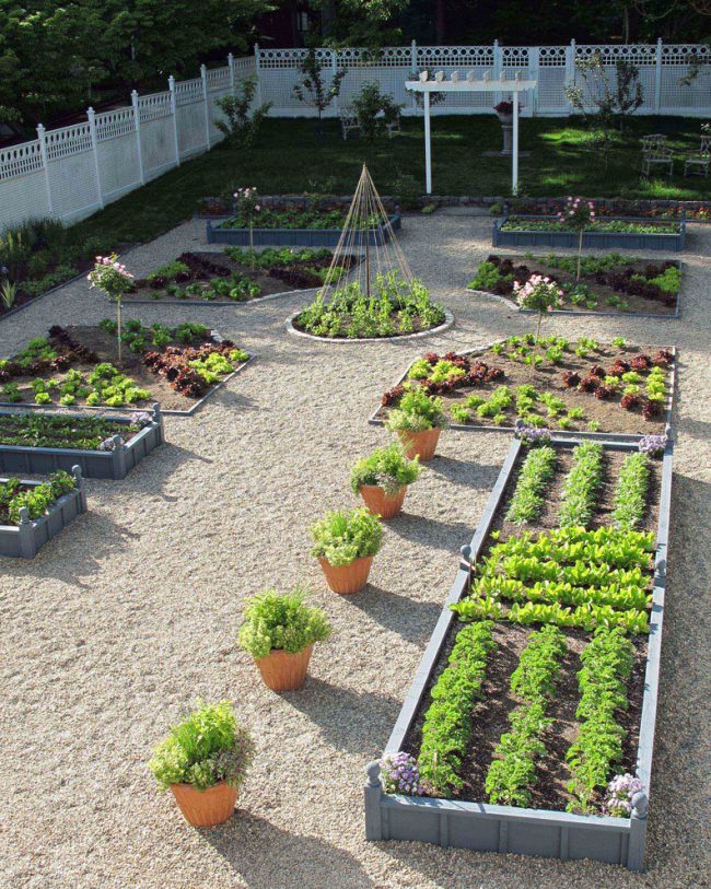 Хармонична комбинация от зеленчукови растения и цветни лехи в ландшафтния дизайн на лятна вила